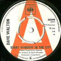 Dave Walton - Every Window In The City