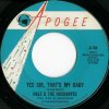 Hale & The Hushabyes - Yes Sir That's My Baby - Apogee
