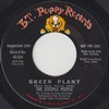 Click for larger scan - The Steeple People - Green Plant (B.T.Puppy 534)