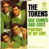 Click for larger scan - She Comes And Goes - Portrait Of My Love (W Bros 5900) Pic Sleeve